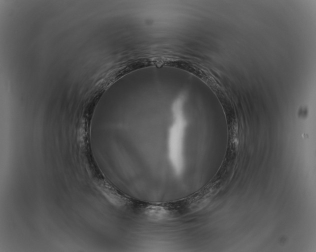 X0000090770519200708031655