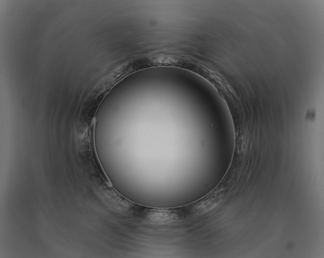 X0000090770521200708031655