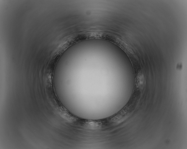 X0000090770522200708031655