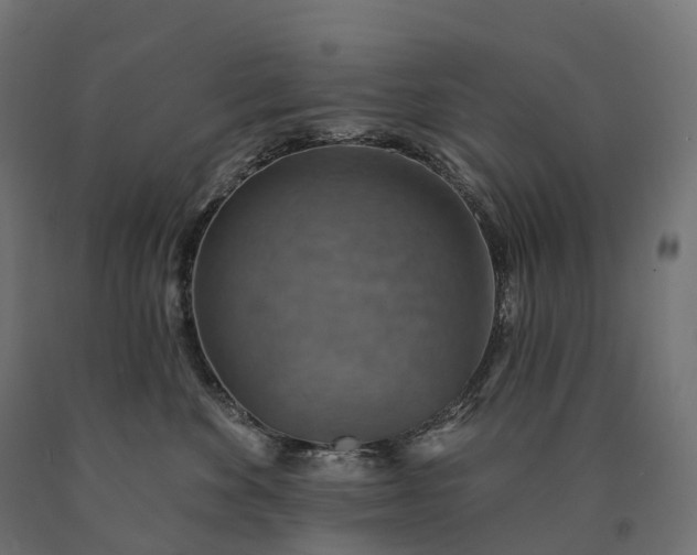 X0000090770524200708031655