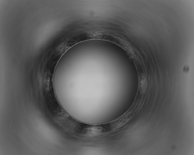 X0000090770525200708031655