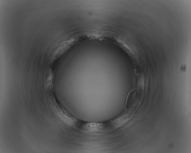 X0000090770526200708031655