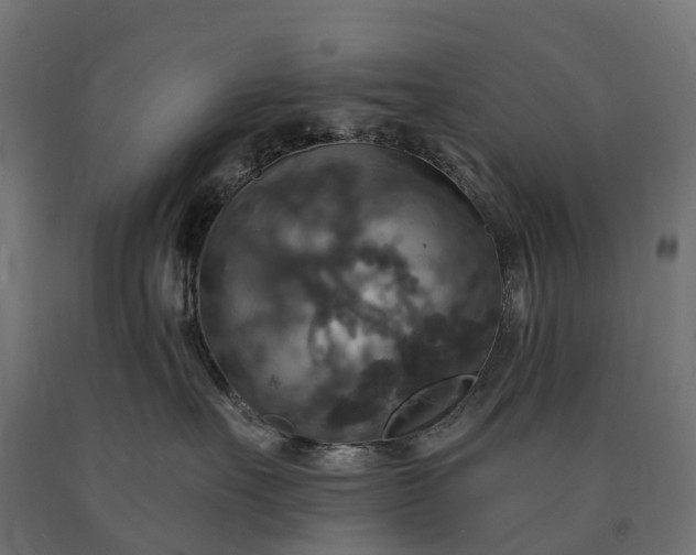 X0000090770527200708031655