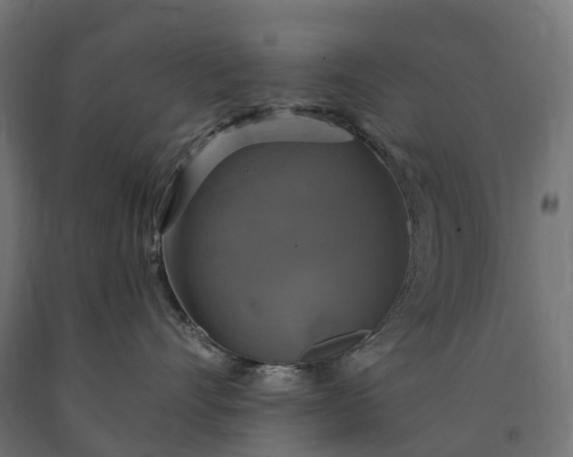 X0000090770528200708031655