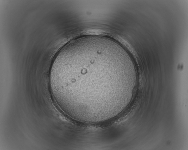 X0000090770529200708031654