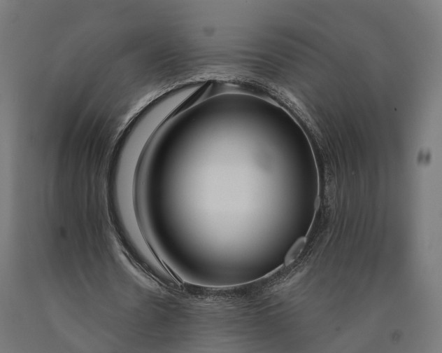 X0000090770530200708031654