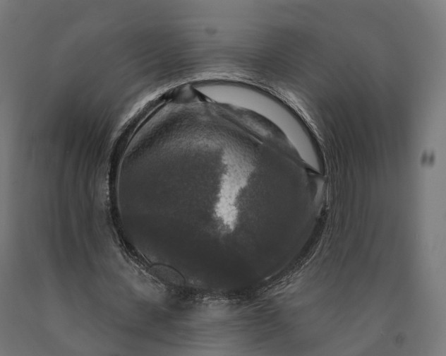 X0000090770531200708031654