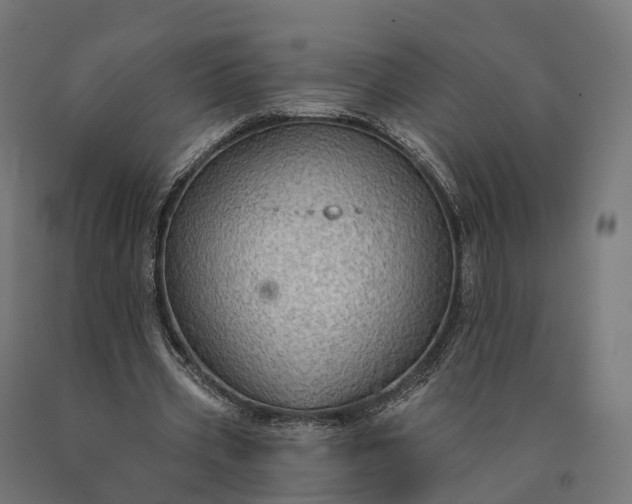 X0000090770533200708031654