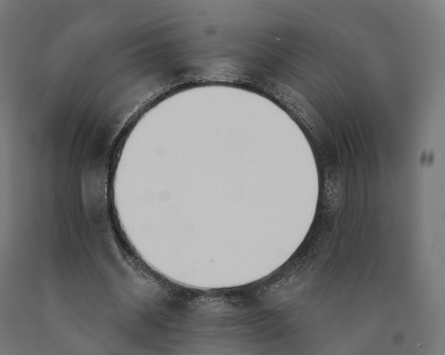 X0000090770534200708031654