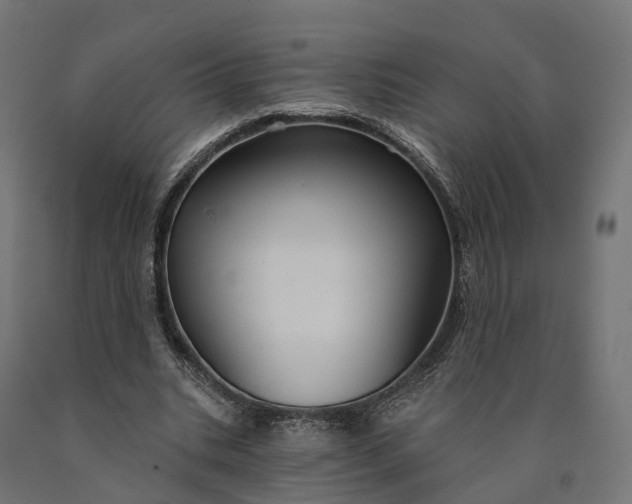 X0000090770535200708031654