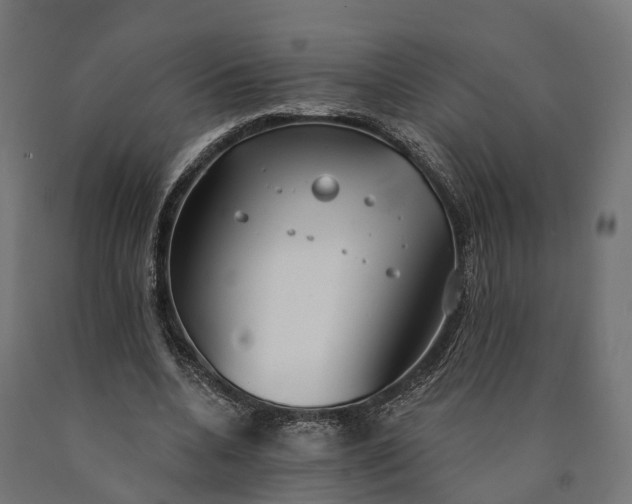 X0000090770536200708031654