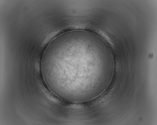 X0000090770537200708031654