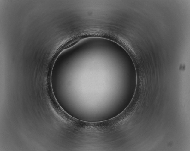 X0000090770538200708031655