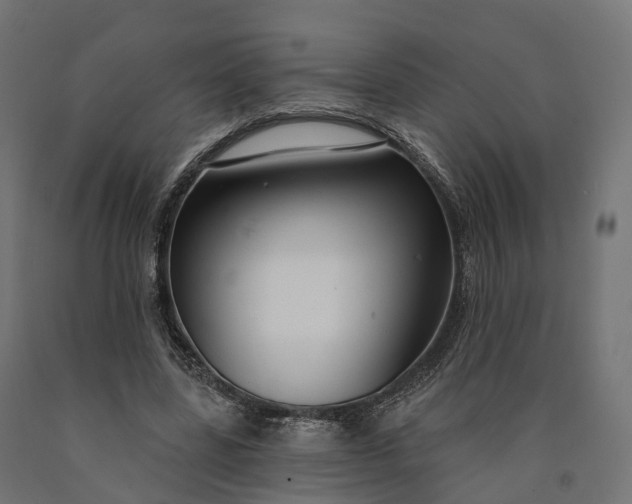 X0000090770539200708031655