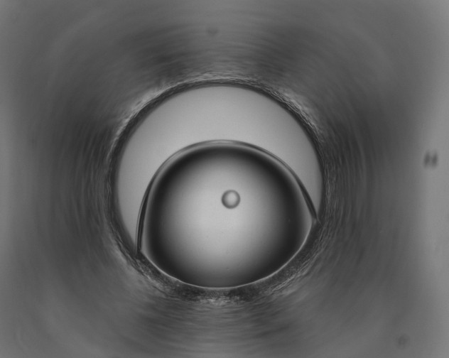 X0000090770540200708031655