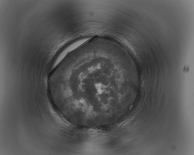 X0000090770542200708031655