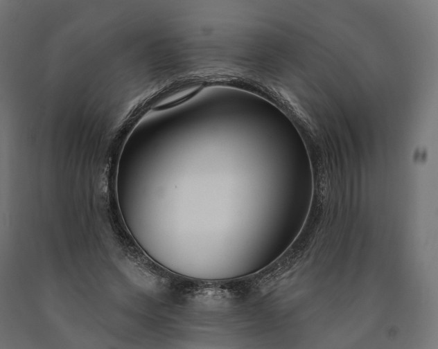 X0000090770543200708031655