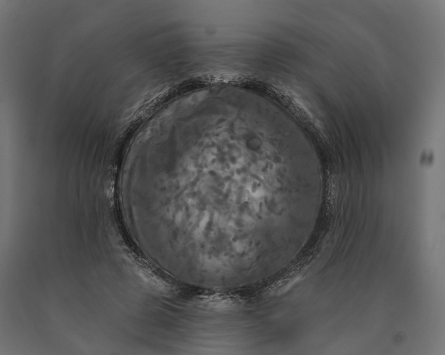 X0000090770545200708031655