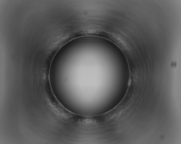 X0000090770546200708031655