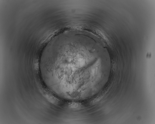 X0000090770549200708031655
