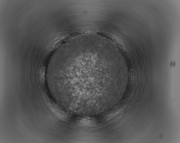 X0000090770550200708031655