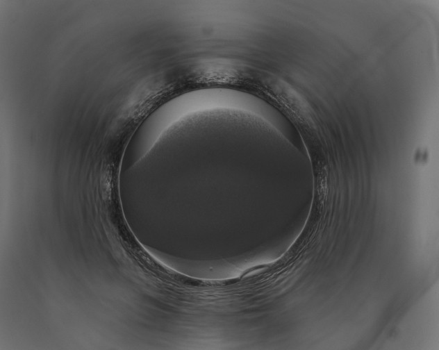 X0000090770551200708031655
