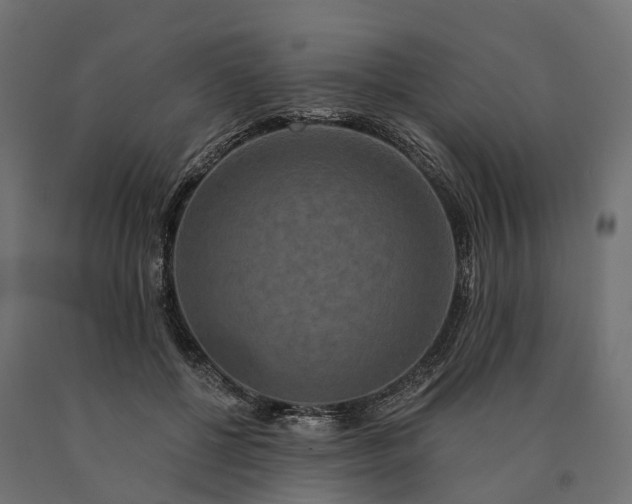 X0000090770552200708031655