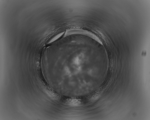 X0000090770553200708031655