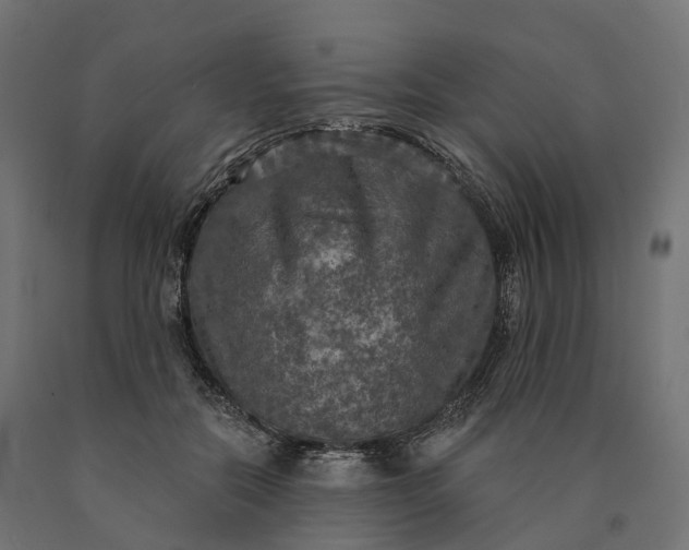 X0000090770554200708031655