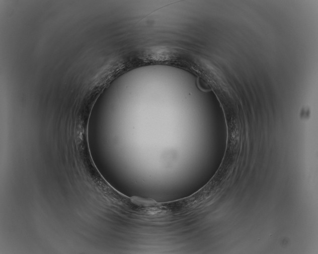 X0000090770555200708031655