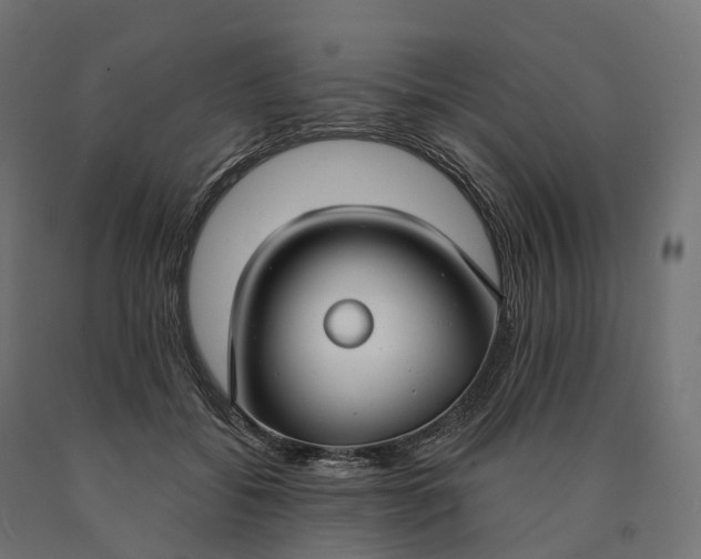 X0000090770556200708031655