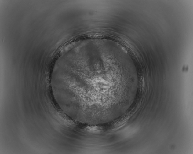 X0000090770557200708031655