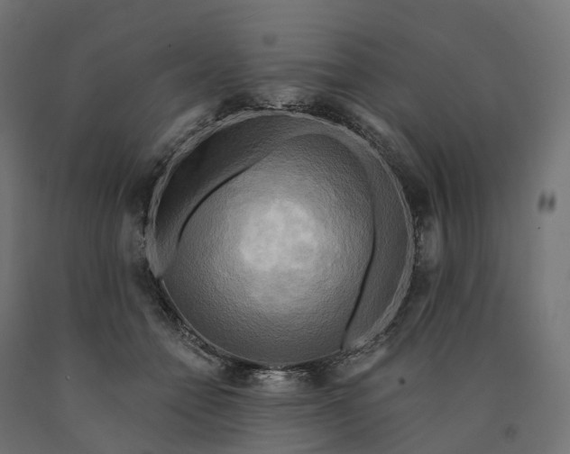 X0000090770558200708031655