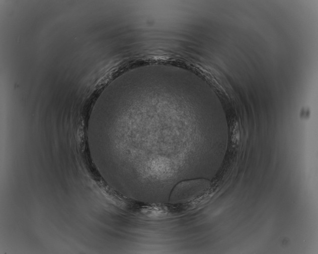 X0000090770559200708031655