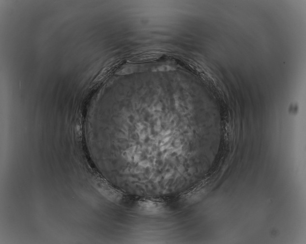 X0000090770561200708031655