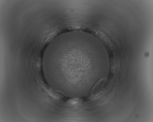 X0000090770563200708031655