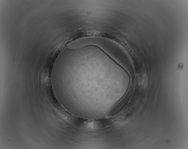 X0000090770564200708031655