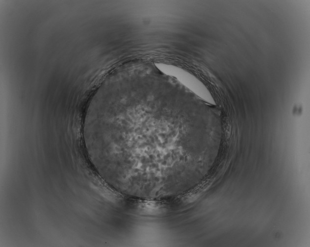 X0000090770565200708031655