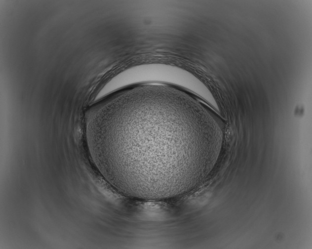 X0000090770566200708031655