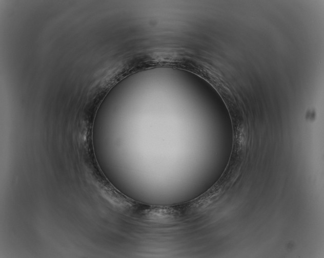 X0000090770567200708031655
