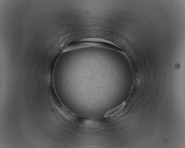 X0000090770568200708031655