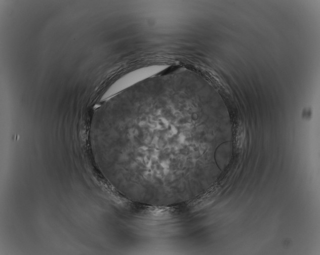 X0000090770569200708031655