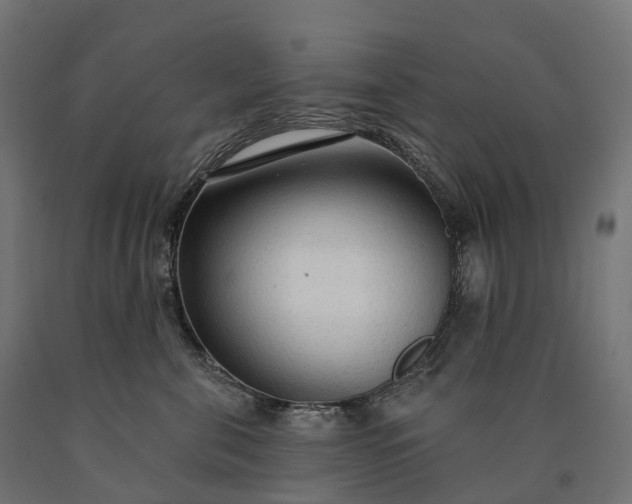 X0000090770571200708031655