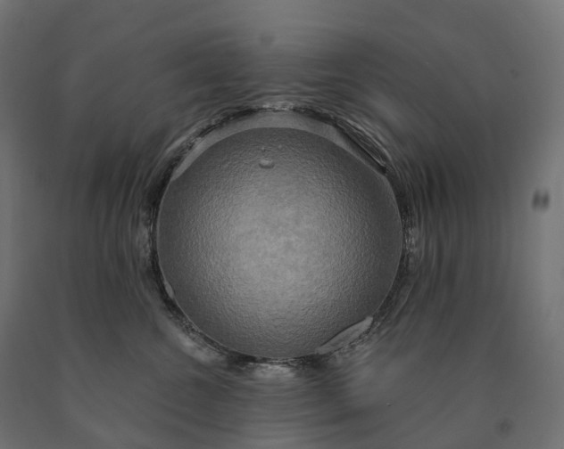 X0000090770572200708031655
