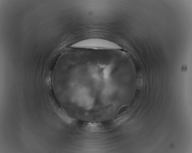 X0000090770573200708031655