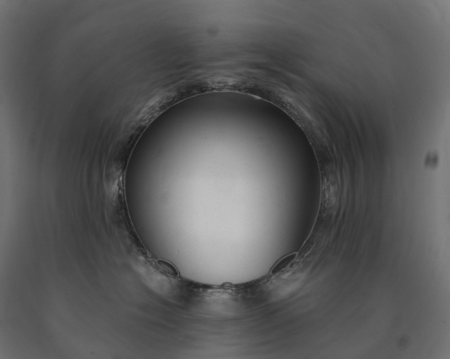 X0000090770574200708031655