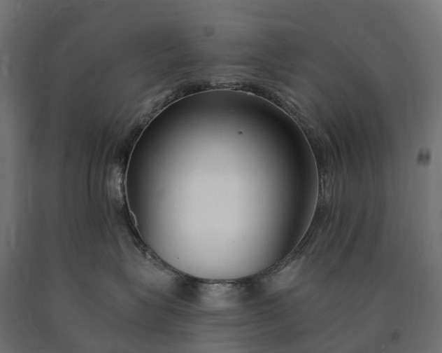 X0000090770575200708031655