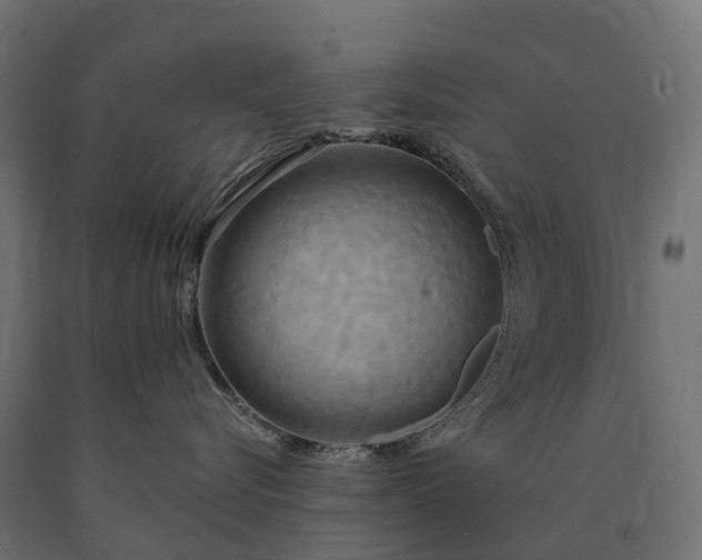 X0000090770576200708031655