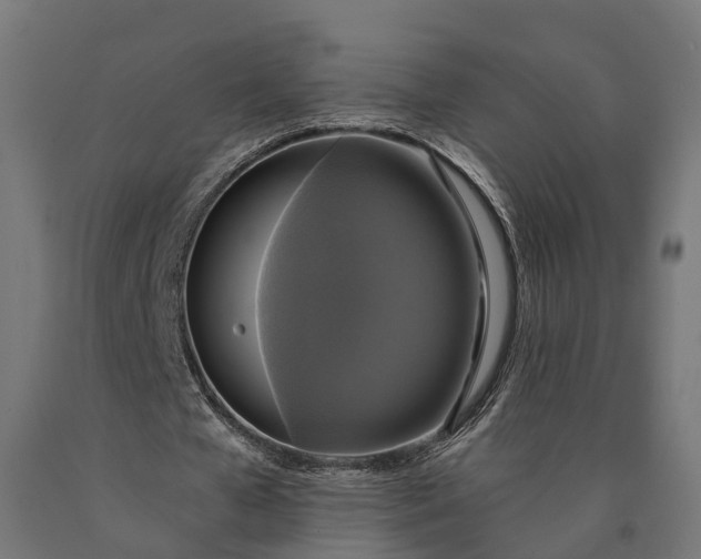 X0000090770577200708031654