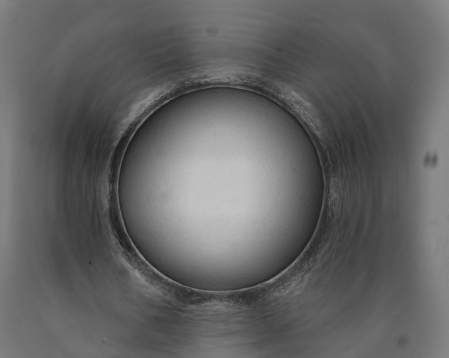 X0000090770578200708031654